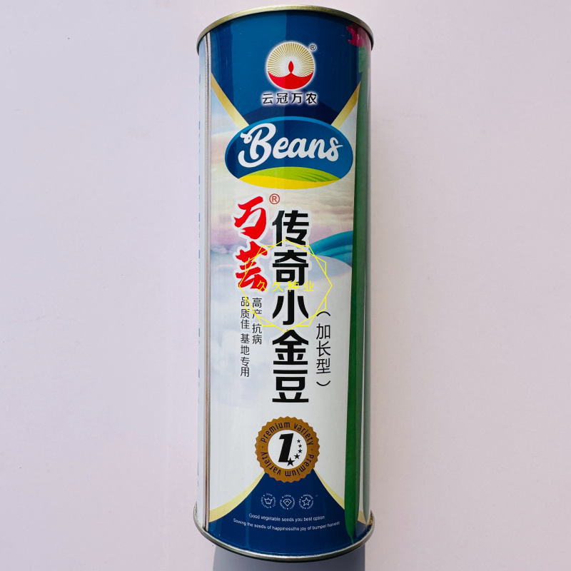 传奇加长小金豆架豆种子鲜嫩长荚高产耐热抗病商品性好