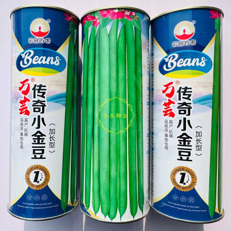 传奇加长小金豆架豆种子鲜嫩长荚高产耐热抗病商品性好