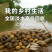 体验北江河鲜，探寻广东的河鲜传奇北江河鲜渔鲍蚬螺鲜