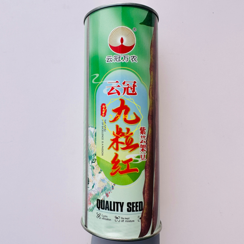 云冠九粒红紫芸架豆种子蔓生荚嫩无纤维肉厚抗病强产量高春秋