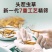 2025西藏头茬冬虫夏草产地直发保质保量全国发货