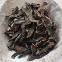 中药材玄参大片选货规格齐全大货供应支持看货