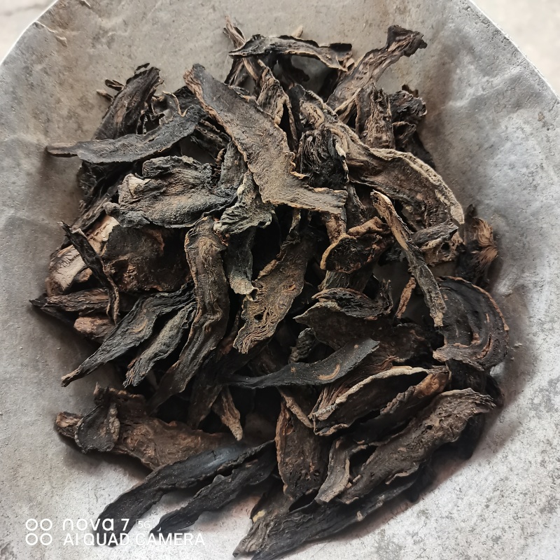 中药材玄参大片选货规格齐全大货供应支持看货