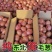 实力《东北小红葱》毛葱吉林基地直发对接全国一条龙服务
