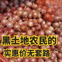 《万人合作商》东北小毛葱红葱对接商超团购电商一条龙