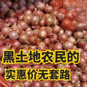 《万人合作商》东北小毛葱红葱对接商超团购电商一条龙