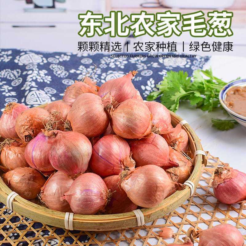 《精选》东北毛葱小红葱基地直发对接全国保质保量一条龙服务