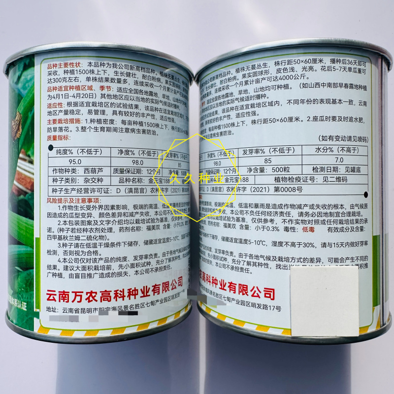 金元宝188高档无蔓圆球形西葫芦种子产量高皮色浅光亮