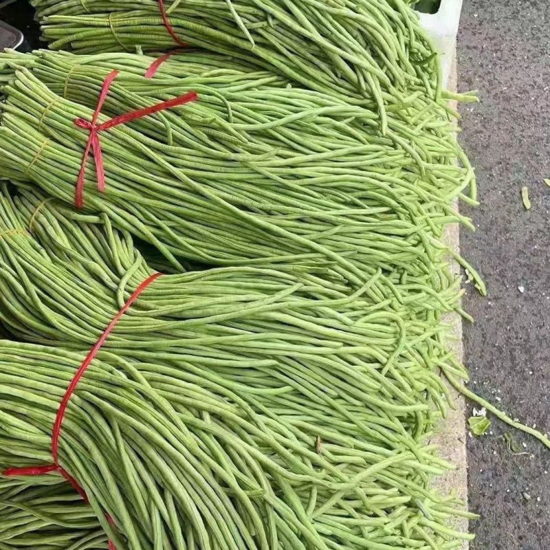 珍玉金凤凰长豇豆种子中熟翠绿长豆角种籽肉厚耐高温春秋播