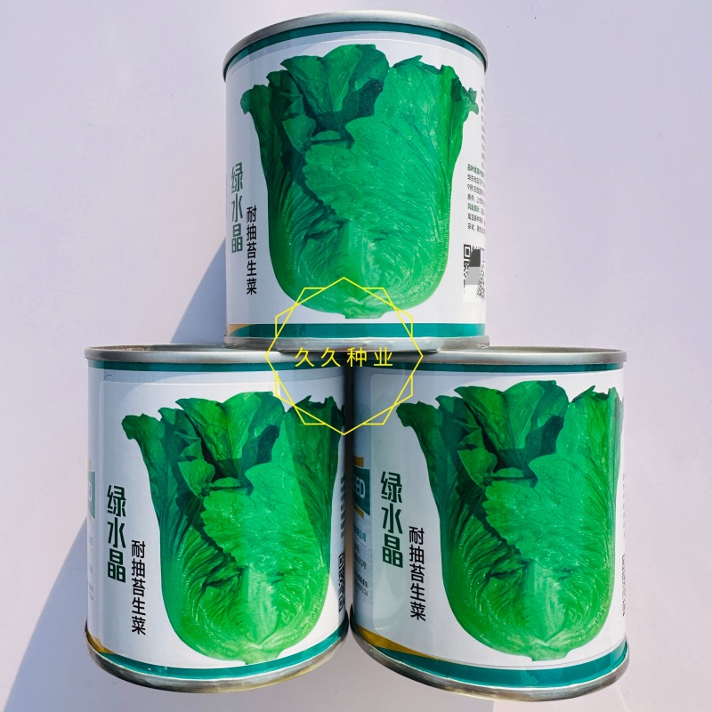 卡其牌绿水晶耐抽苔生菜种子半直立半包心株型紧凑适应性好
