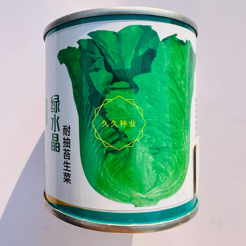 卡其牌绿水晶耐抽苔生菜种子半直立半包心株型紧凑适应性好