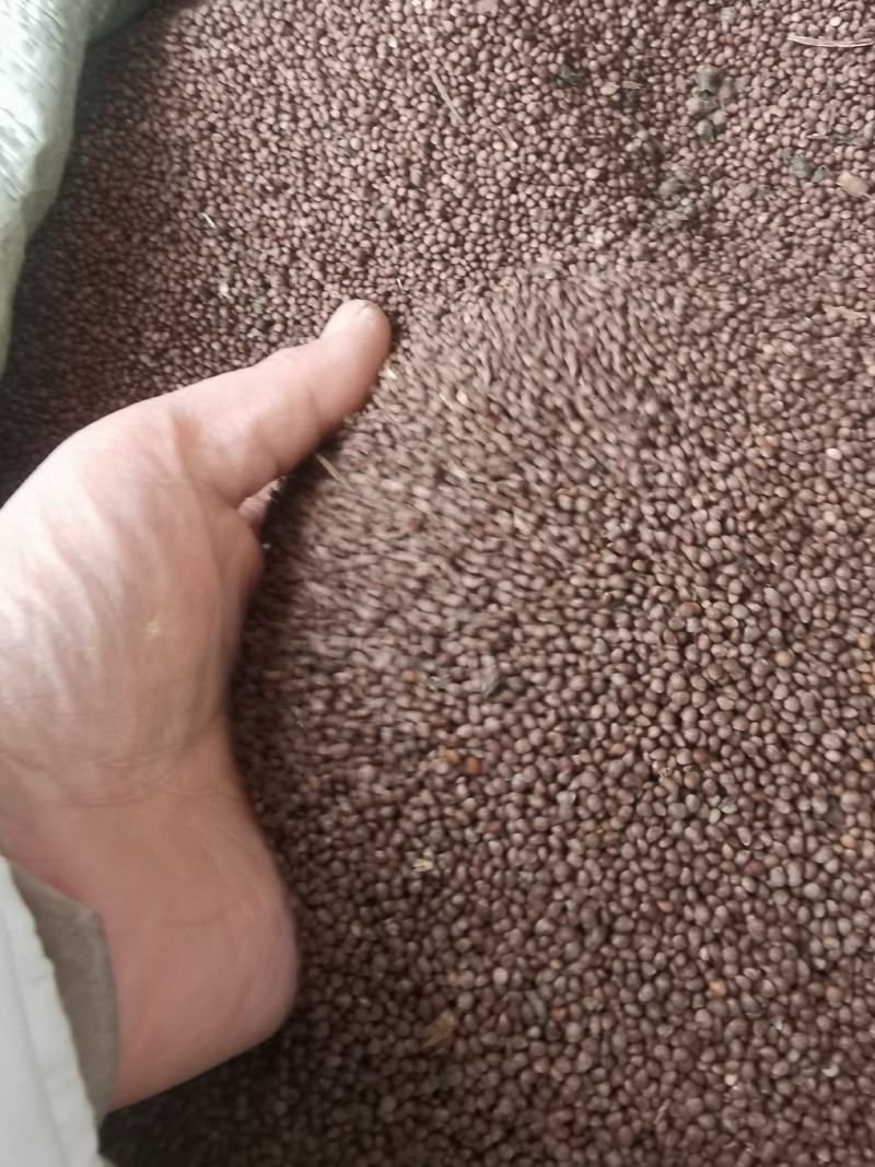 苏子我们的宗旨以产品说话，以质量第一的原则，以诚信为本