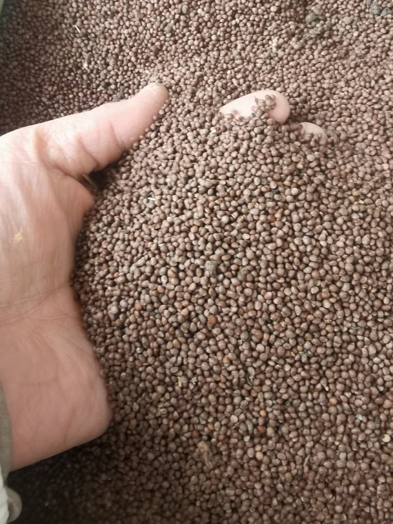 苏子我们的宗旨以产品说话，以质量第一的原则，以诚信为本