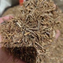 龙胆草