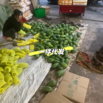 广西水果木瓜一件代发