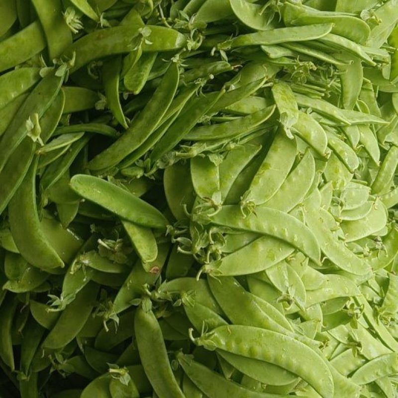 荷兰豆豌豆云南荷兰豆对接电商市场等保质保量