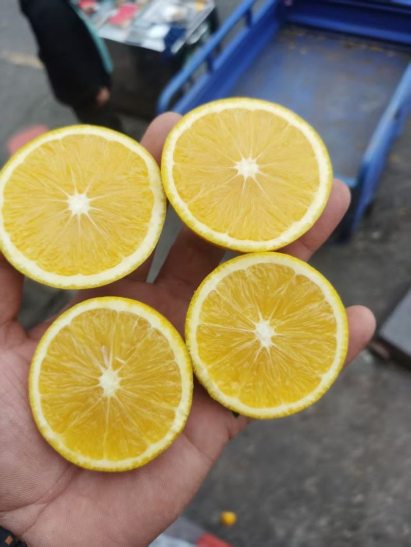 劲爆赚，麻阳冰糖橙，纯甜纯甜，电商货包交仓，撸起来