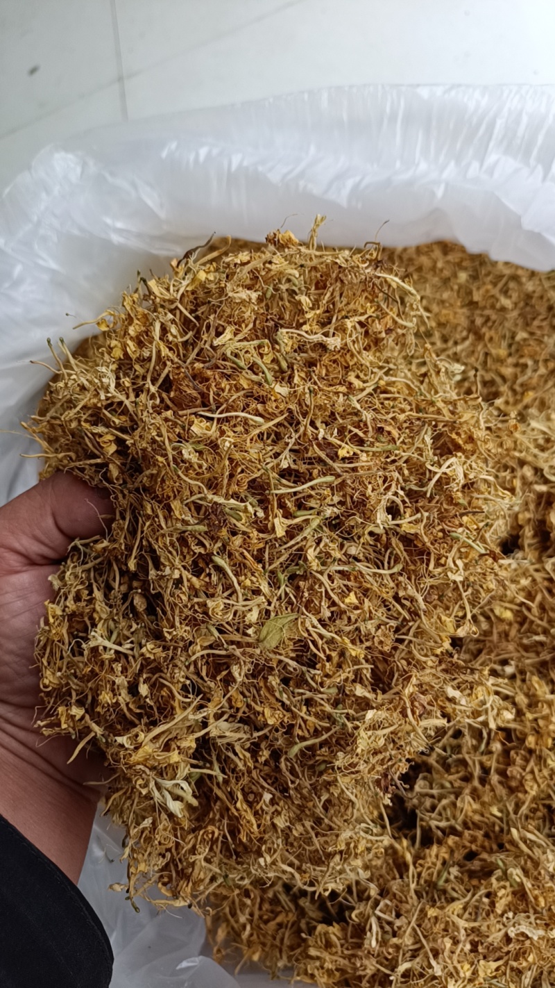 贵州金银花