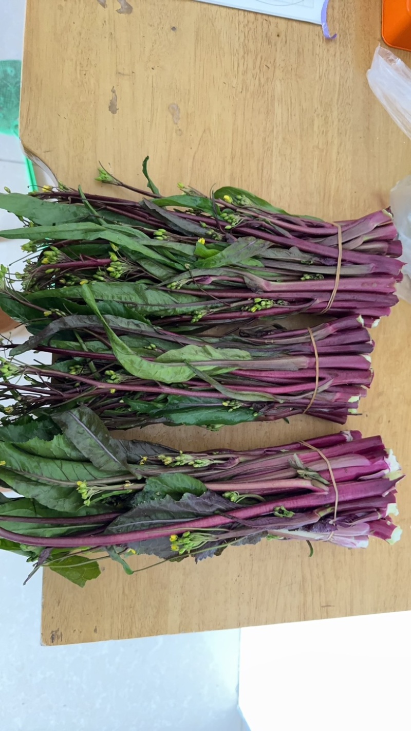 湖北荆州红菜苔原产地直销批发零售。