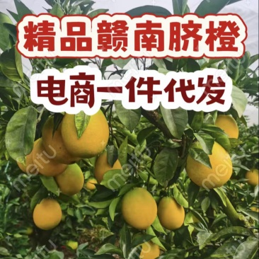 赣南脐橙电商一件代发抖音拼多多等全平台一件代发