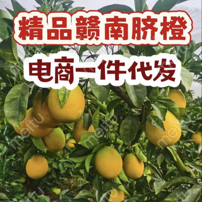 赣南脐橙电商一件代发抖音拼多多等全平台一件代发