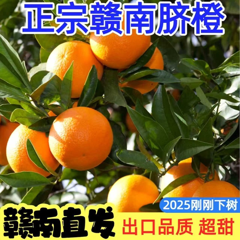 赣南脐橙电商一件代发抖音拼多多等全平台一件代发