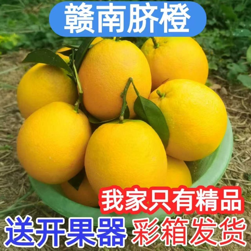赣南脐橙电商一件代发抖音拼多多等全平台一件代发