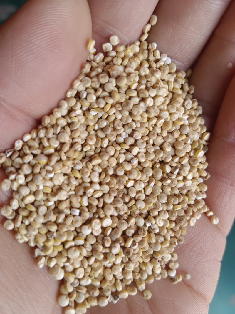 食泉坊白藜麦