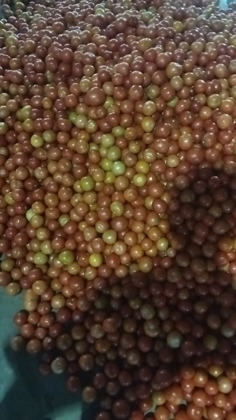 电商货，粉小果，红小果