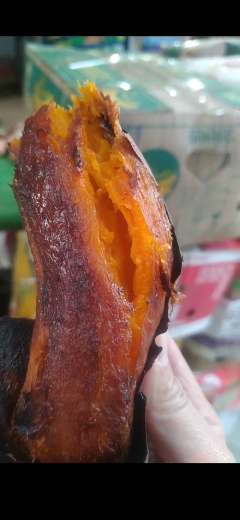 糖化60天以上的内蒙古腐殖质高端蜜薯