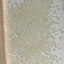 米