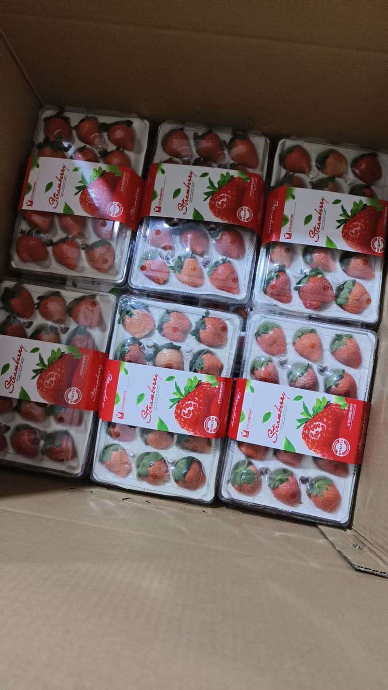 徐州草莓开始上量，欢迎全国商超，电商