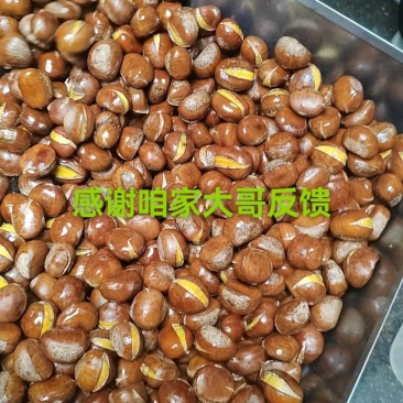 山东精品小粒100粒