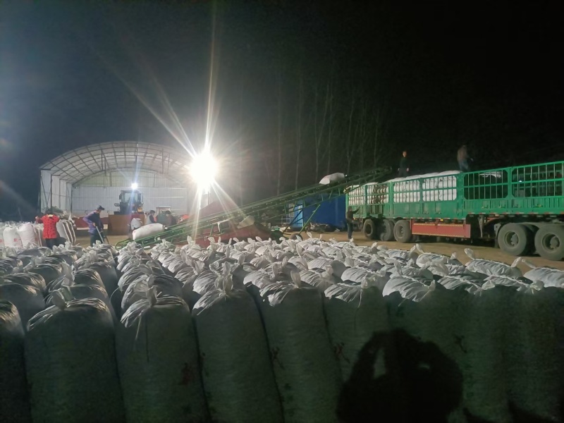 河南干辣椒新鲜上市价格美丽对接全国鲜辣可口热卖中