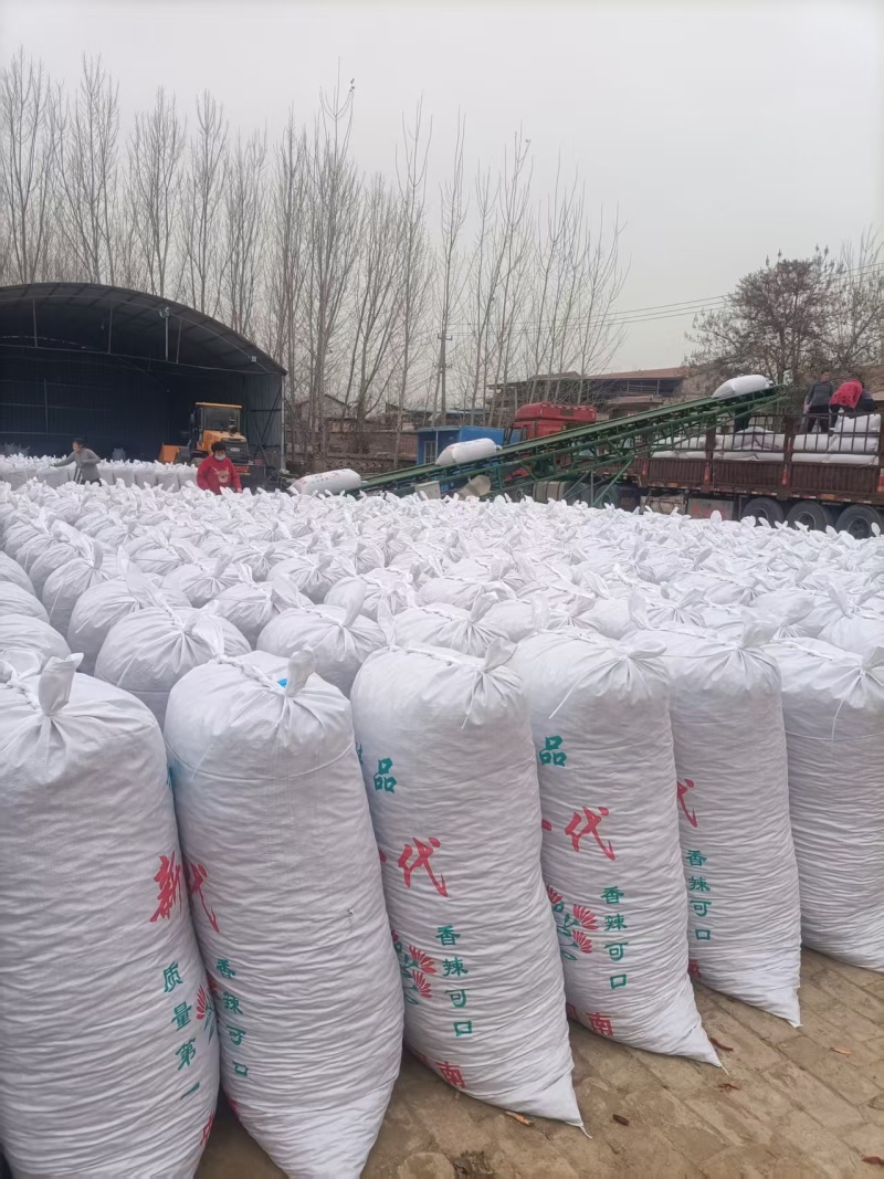 河南干辣椒新鲜上市价格美丽对接全国鲜辣可口热卖中