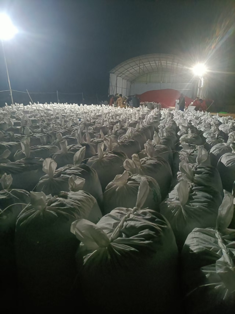 河南干辣椒新鲜上市价格美丽对接全国鲜辣可口热卖中