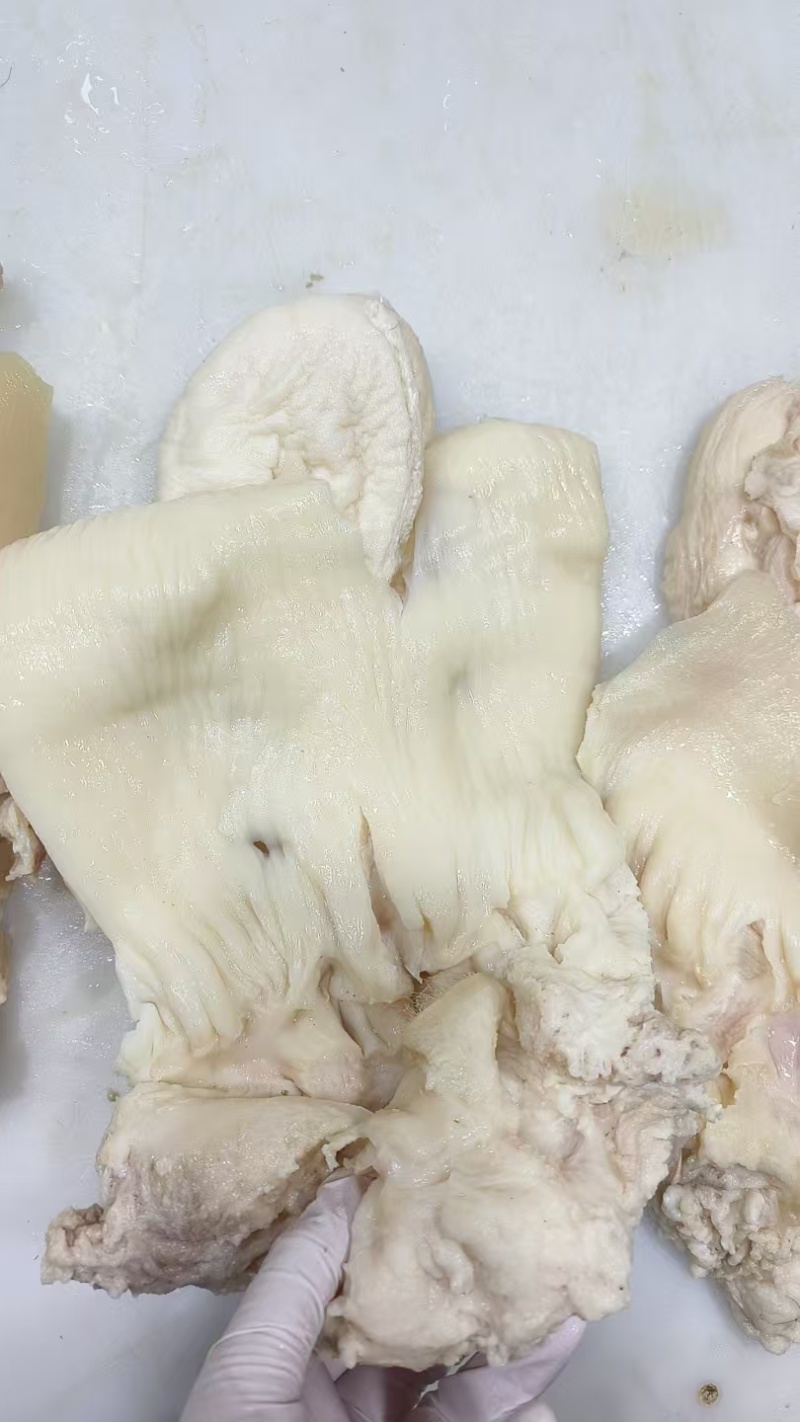 不带勾牛小货牛欢喜