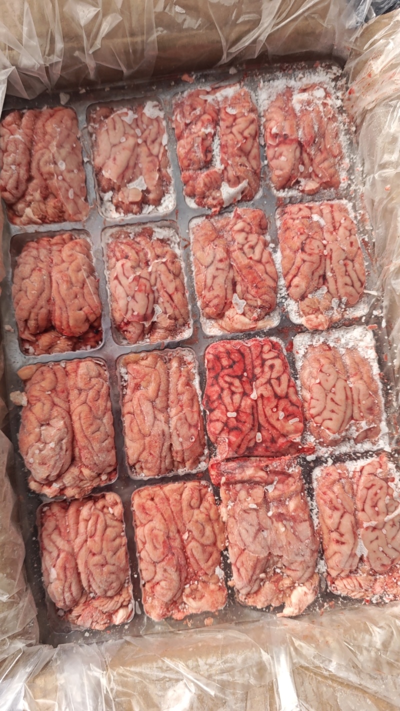 母猪猪脑花，新货，常年生产，品质保证，供应稳定