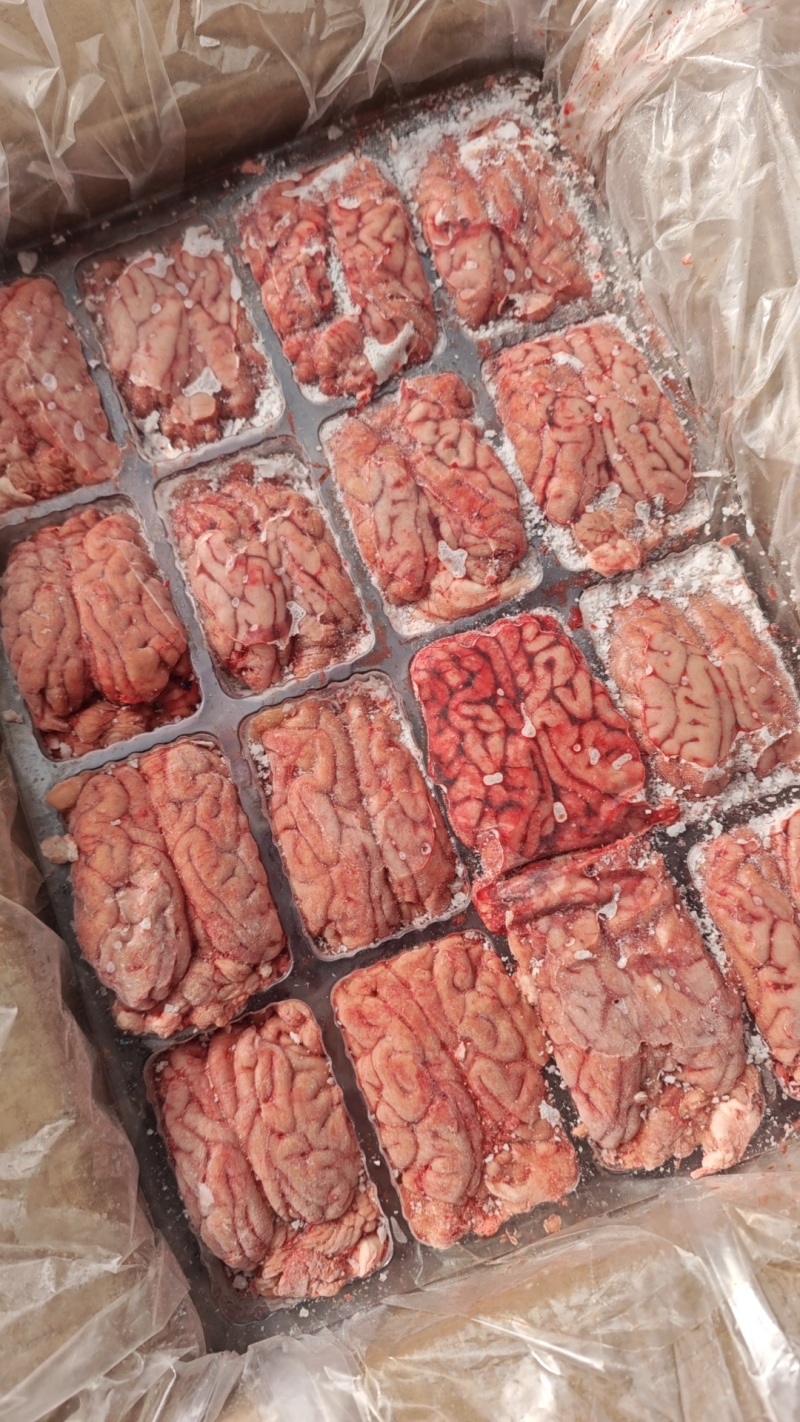 母猪猪脑花，新货，常年生产，品质保证，供应稳定