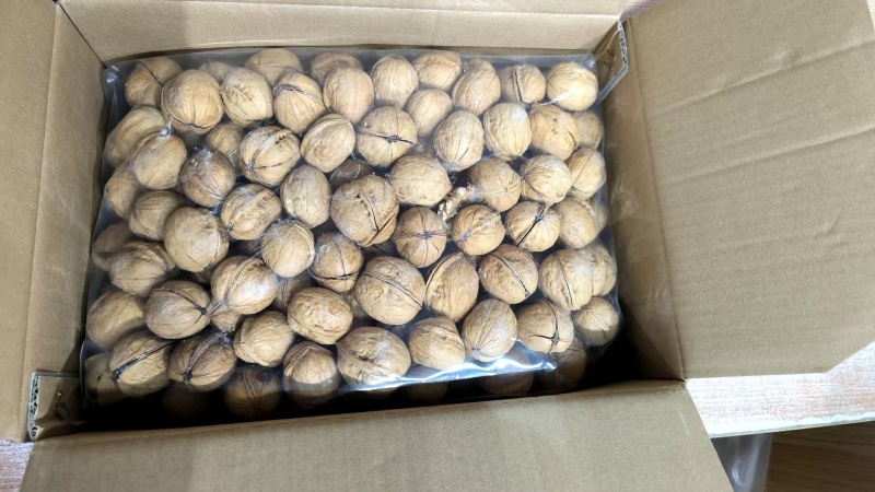高品质185薄皮手剥熟核桃，电商大量供应
