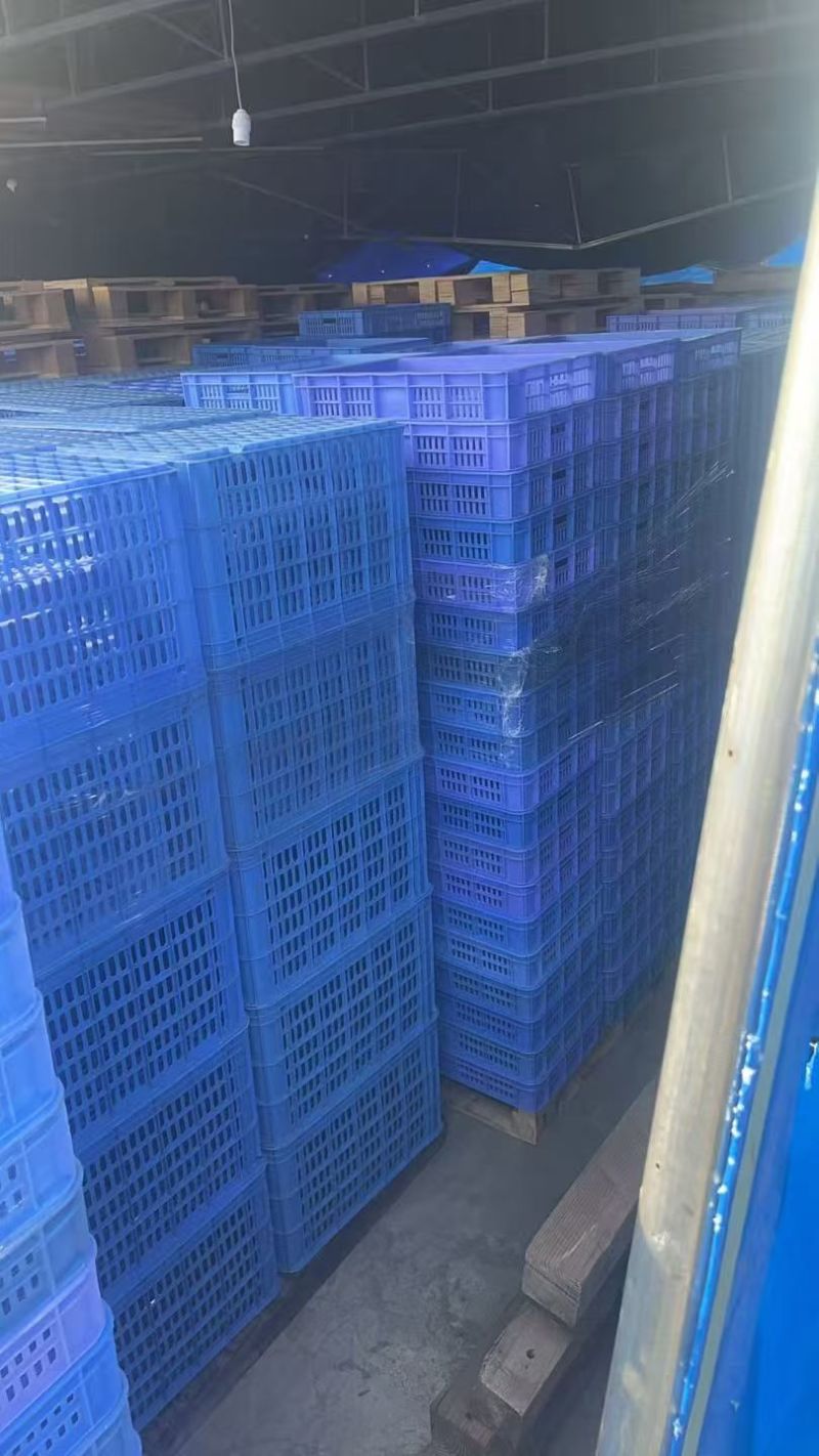 东莞现场出8号箩框，2000个