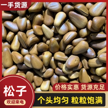 华山开口松子库存充足量大从优对接商超可视欢迎来电