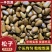 华山开口松子库存充足量大从优对接商超可视欢迎来电