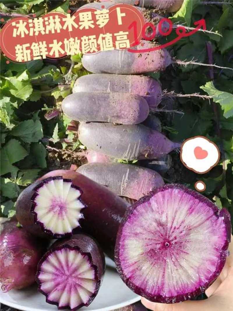 山东冰淇淋水果萝卜皮薄多汁脆甜不辣欢迎来电咨询