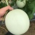 玉菇甜瓜精品白玉菇甜瓜奶香密可对接各大电商平台