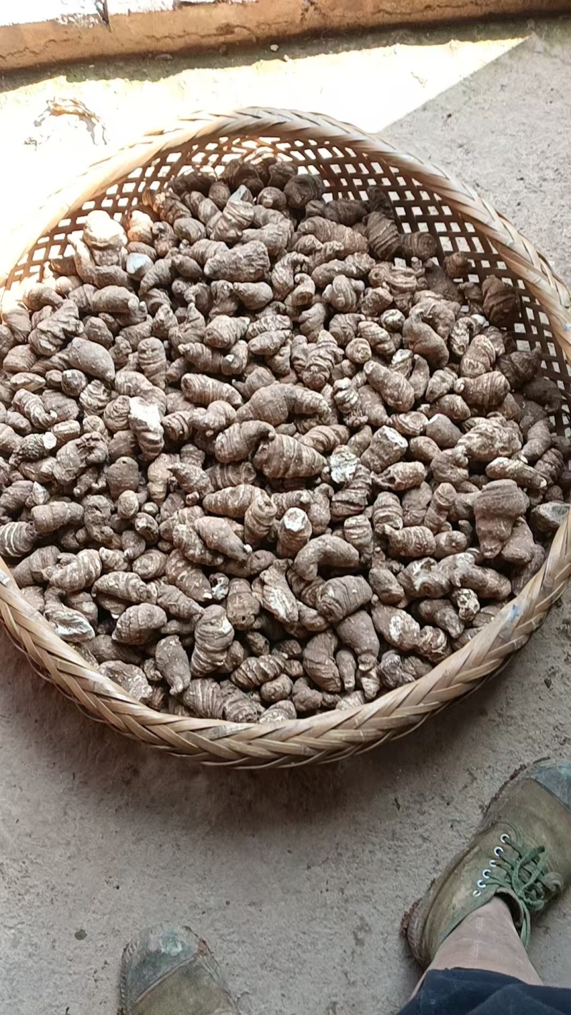 干品滇重楼价格优美