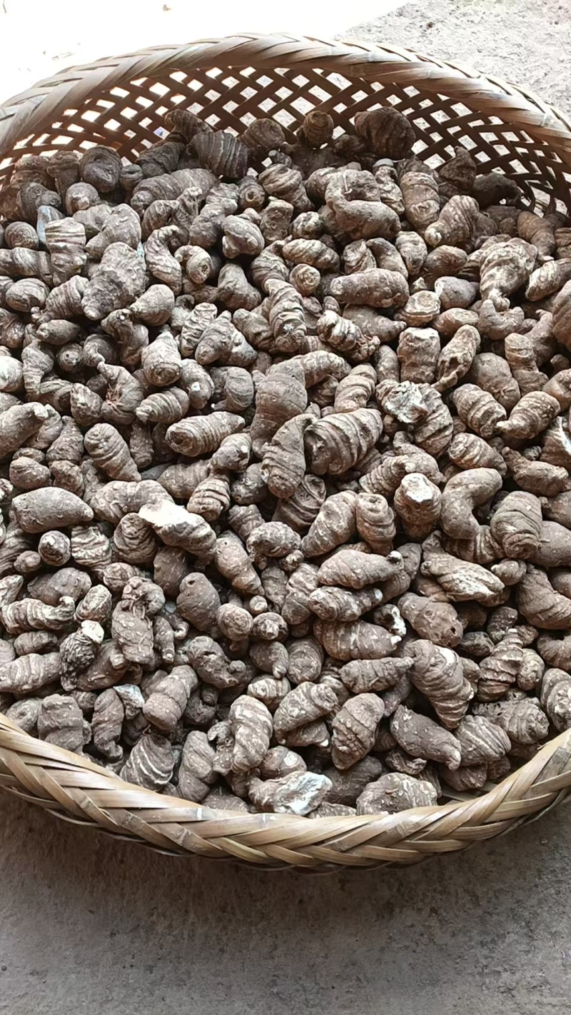 干品滇重楼价格优美