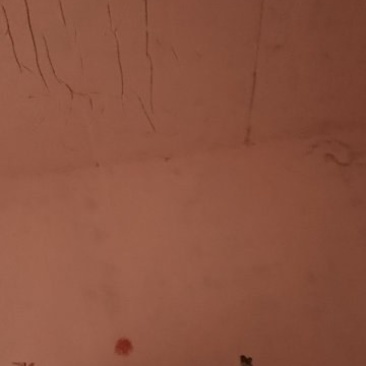 有十几只兔子有人买吗？***********遂宁新桥镇