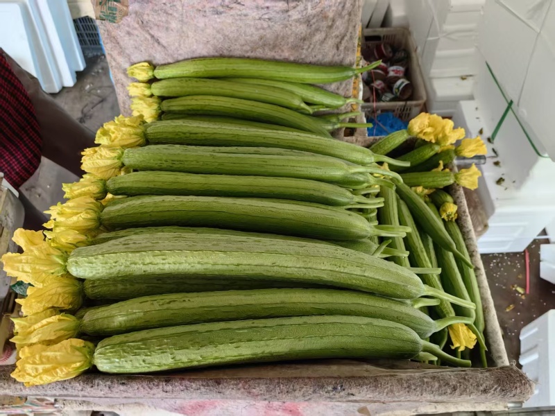 鲜花丝瓜产地直发货源充足精品丝瓜肉厚脆甜市场团购全国发货