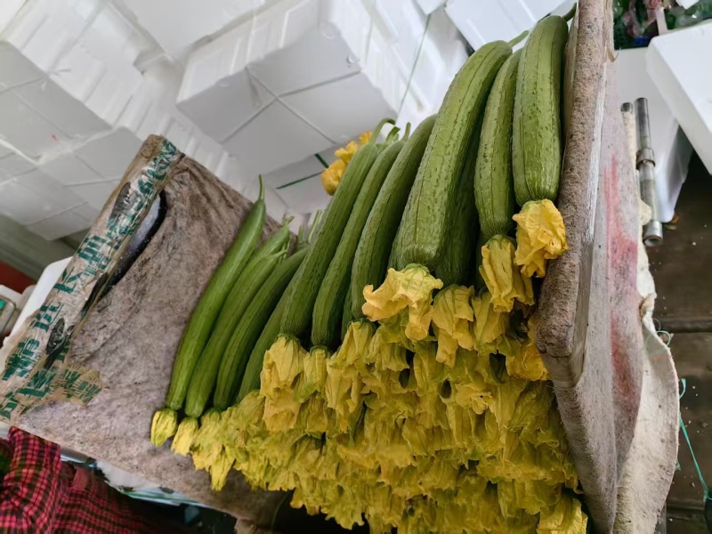 鲜花丝瓜产地直发货源充足精品丝瓜肉厚脆甜市场团购全国发货